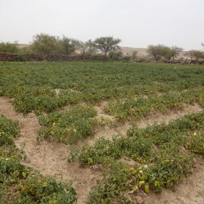 Dsc00059