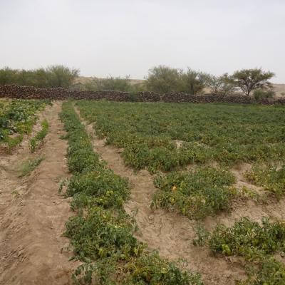 Dsc00060