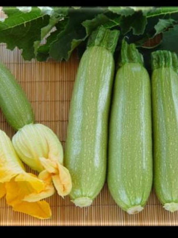 Squash EM Bahija F-1