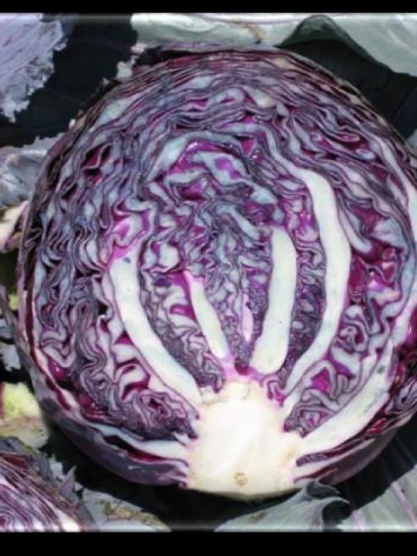 Cabbage Crimson Emerald F-1