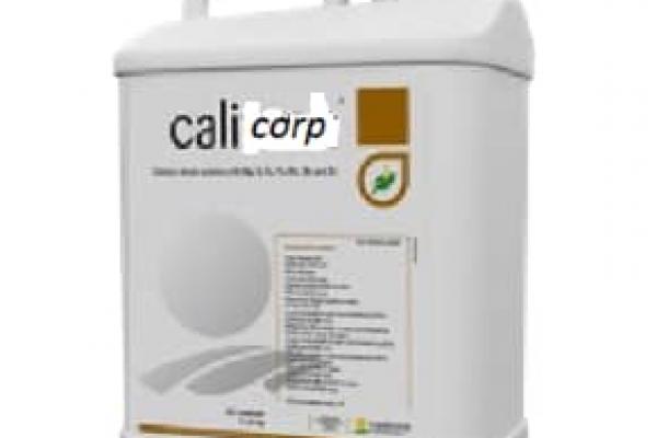calicorp