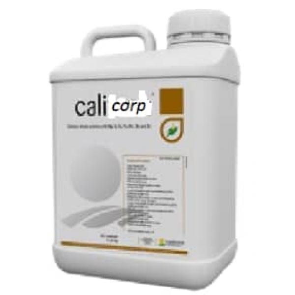 calicorp
