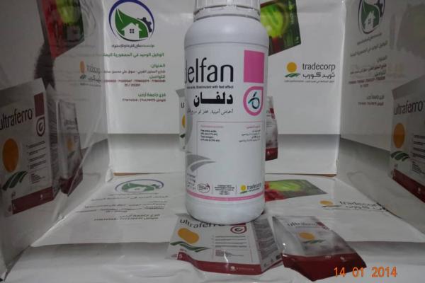 Delfan