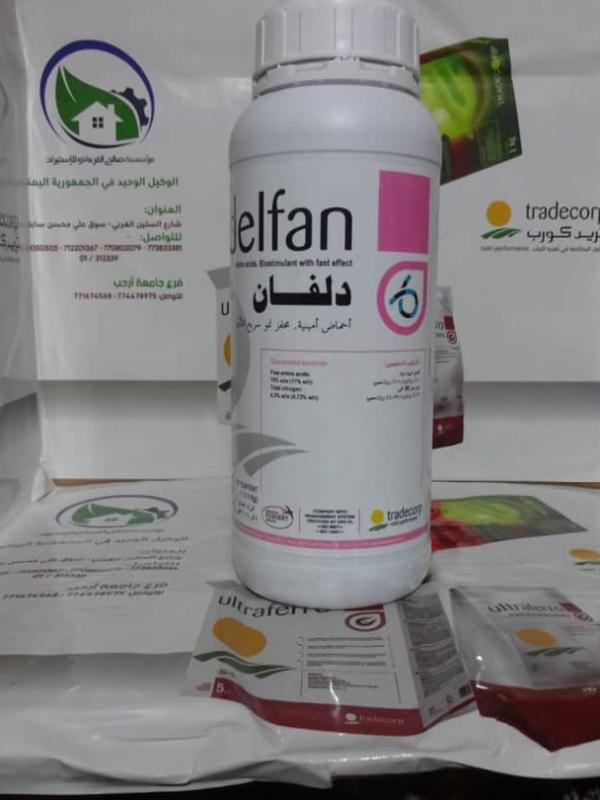 Delfan