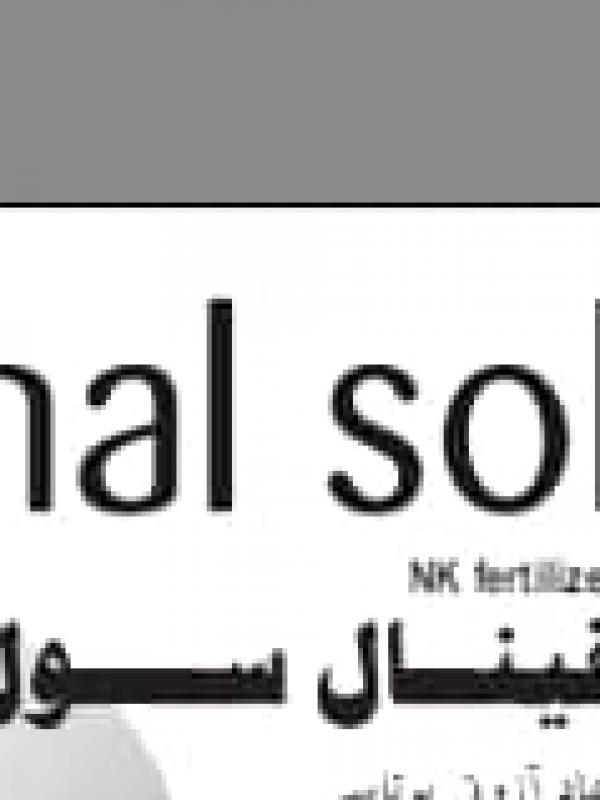 Fainal Sol